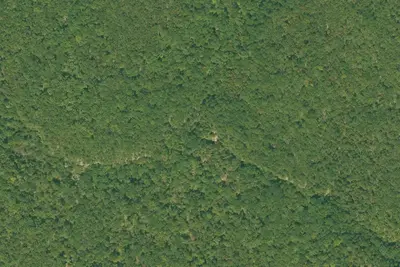 Camp site