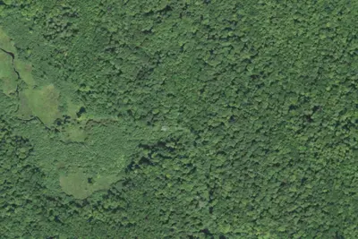 Camp site