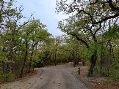 Buckhorn Campground at Chickasaw National Recreation Area - Sulphur - Oklahoma (54126317575)