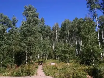 Miners Gulch