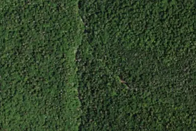 Camp site (NYSDEC)