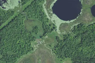 Woodtick Impoundment - Nct W90