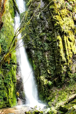 Soda Creek Falls, Waterfalls, Oregon (32713325625)