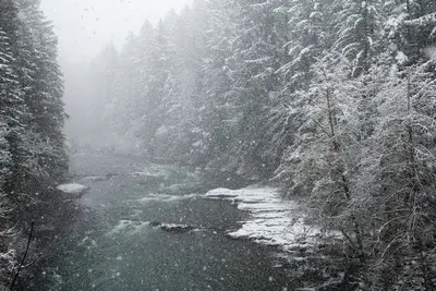 South Santiam River in snow, Oregon (25575648307)