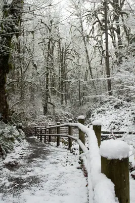 Cascadia State Park in snow, Oregon (39714082984)