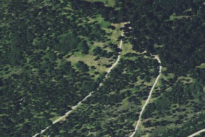 Pikes Peak Gulch-004