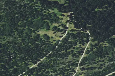 Pikes Peak Gulch-004