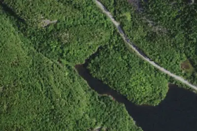 Camp site (NYSDEC)