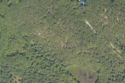 Site 11