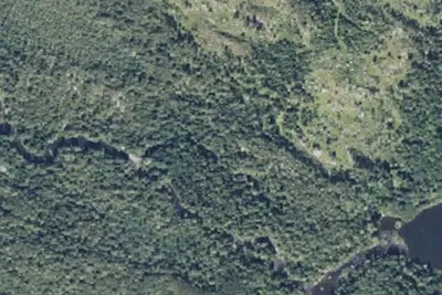 Camp site