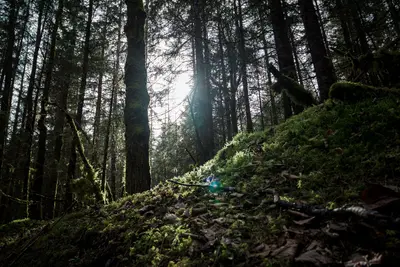 Skaters Cabin Road, Juneau, United States (Unsplash)