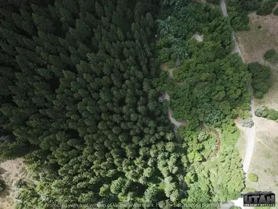 Lodge Campground (UT) aerial