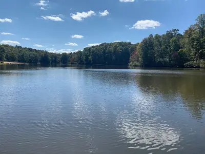 TL 10.05.20 Goodwin Lake