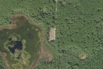 Grassy pond