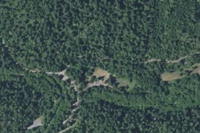 Chinquapin Group Campground