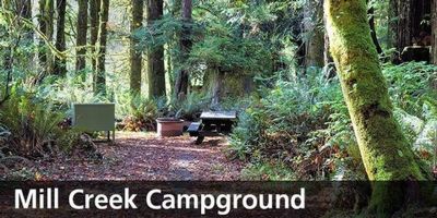 Mill Creek Campground - Del Norte Coast Redwoods State Park