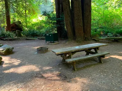 Mill Creek Campsite