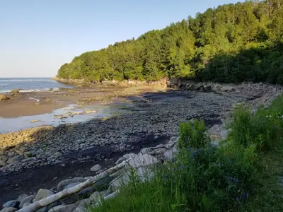 Les Escoumins-Falaise sur côté Sud-Ouest de la baie-2018-07-21