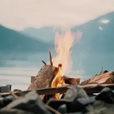 Adolescent Lakeside Fires