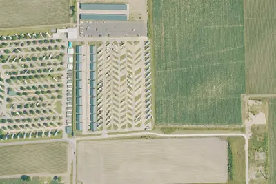 Buddy Site