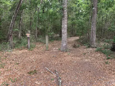 Fort Barrancas Trench Trailhead- Advanced Redoubt (c674bd5f-3a8c-4ed0-a26d-6fae9638dcfb)