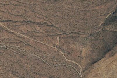 Pine Canyon 4