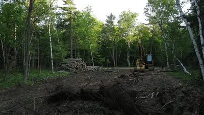 Timber harvest and construction of a group camping facility at Potawatomi State Park Door County Wisconsin