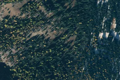 Camp site