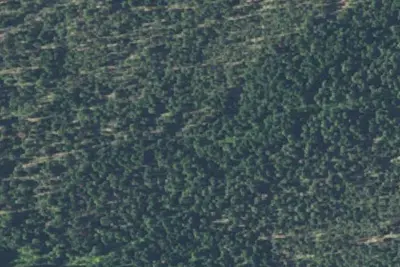 Camp site