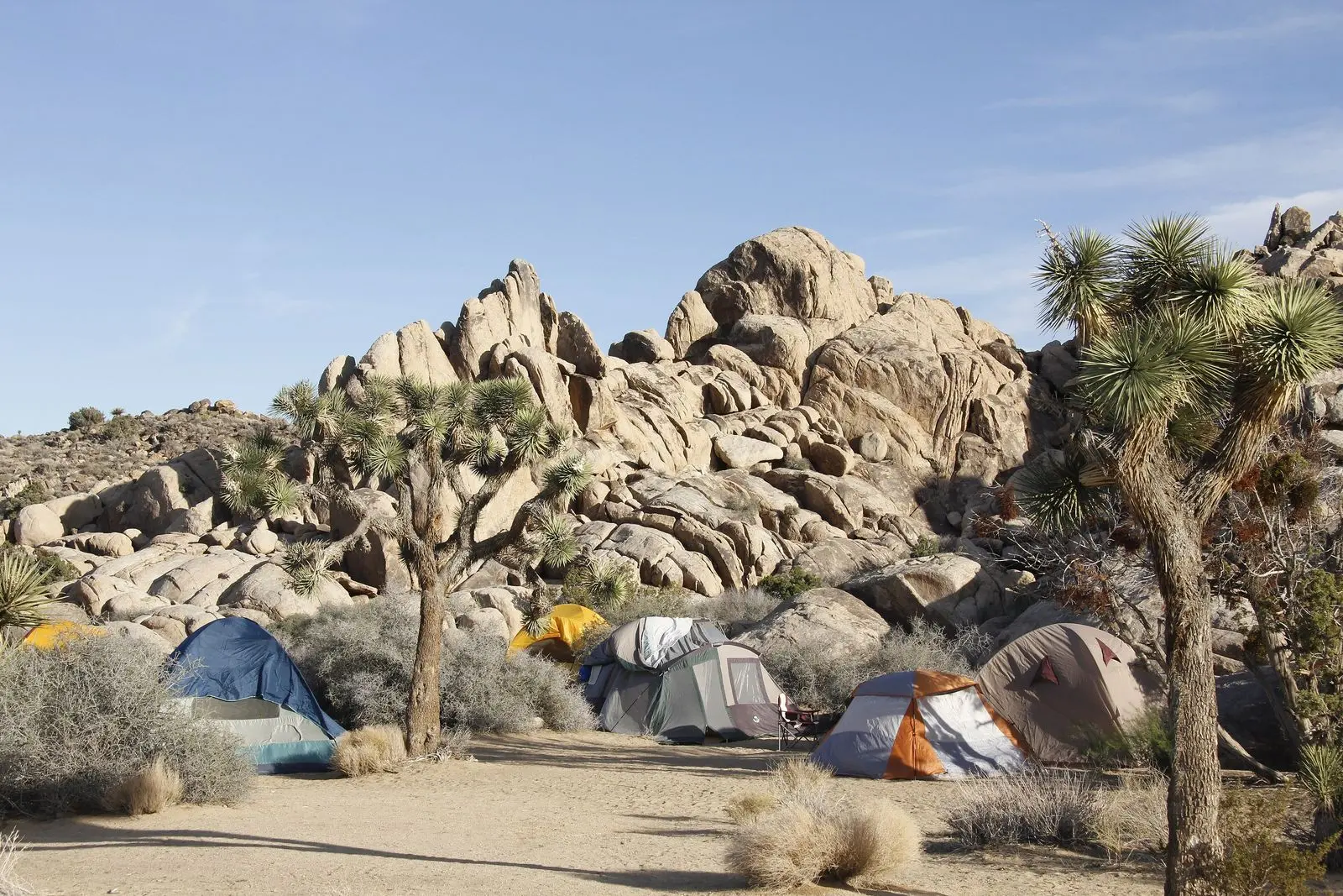 Photo of Sheep Pass Campground