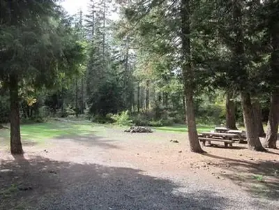 Pine Needle Group Site
