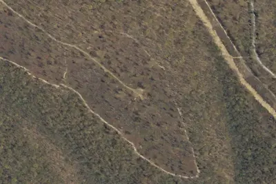 Sproul Forest SS026 Campsite