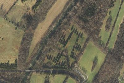 Site 6