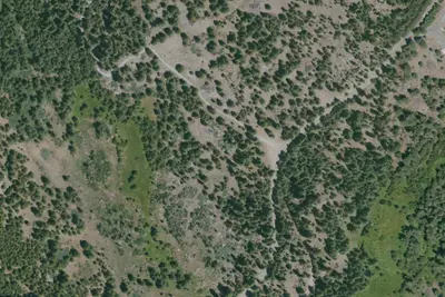 Silver Creek Group