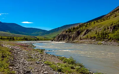 Firth River above Wolf Creek confluence, Ivvavik National Park, YT