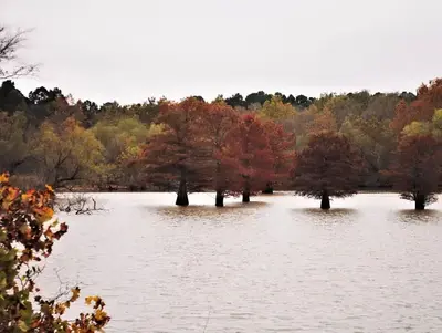 Brooken Cove campground