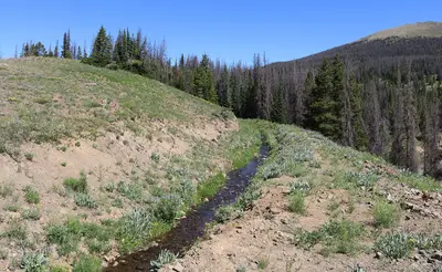 Larkspur Ditch 2