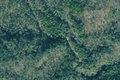 Camp site