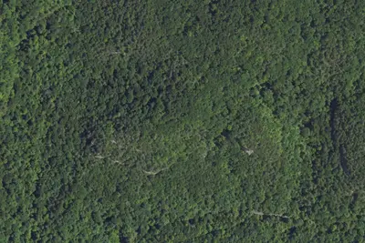 Camp site