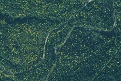 Rd 867 Site 7