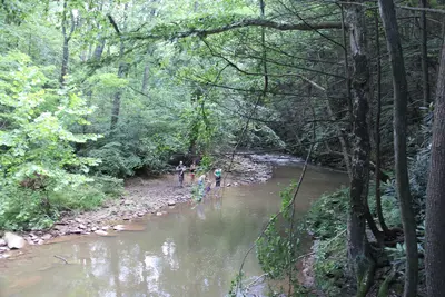 Trough Creek State Park - panoramio (13)
