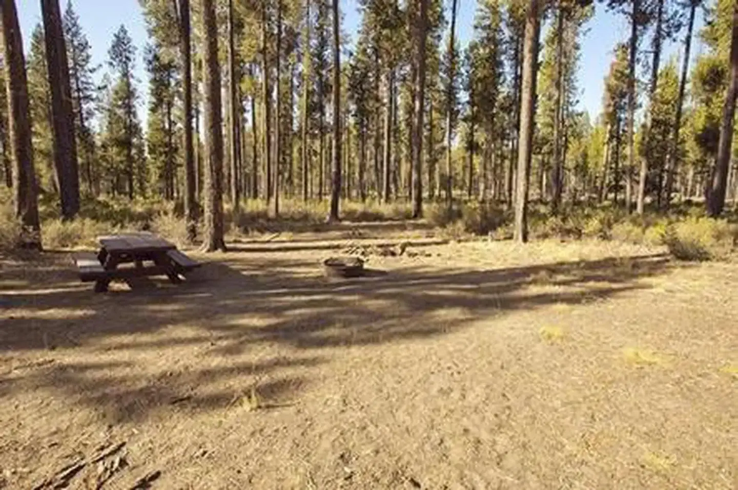 Crescent Creek Campground