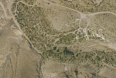 Camp site