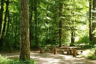 Hoover Campground