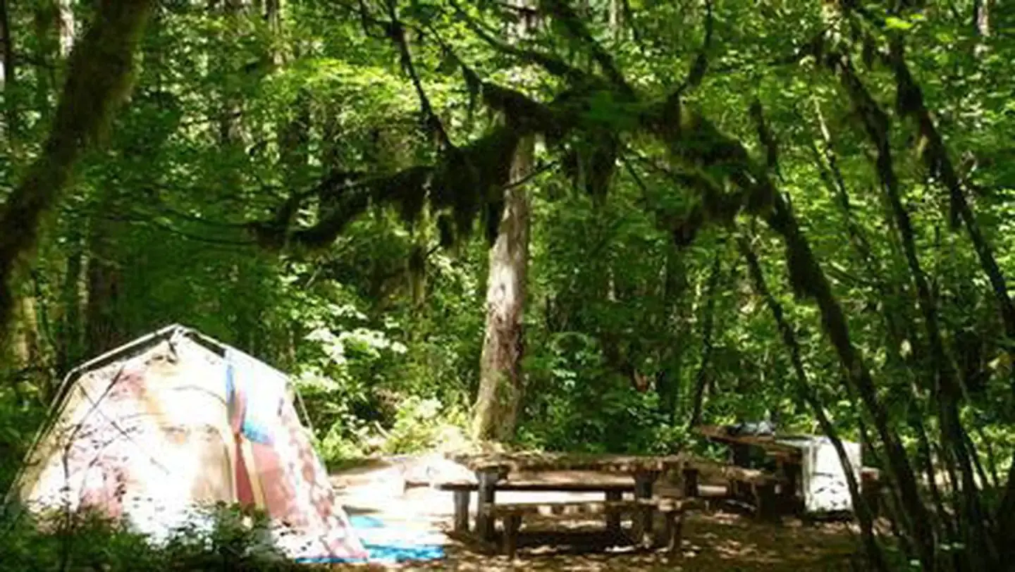 Camping at Hoover Campground