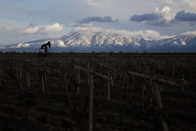 Oil, wine, and snow-capped mountains