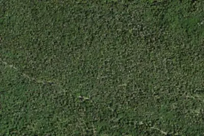 Camp site