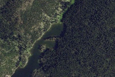 Wapiti Lake Point