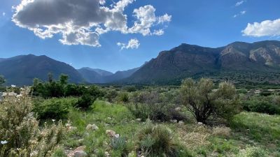 Pine Springs Campground