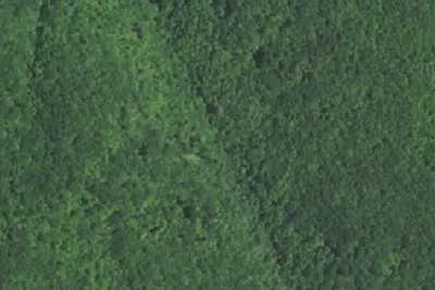 Site F